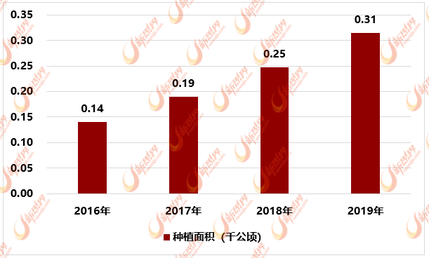 2016-2019年中国蔓越莓种植面积统计