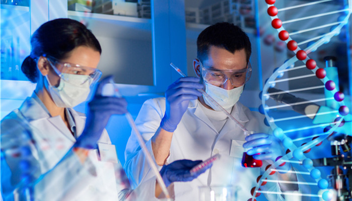 DNA׻־ٴӦǱ ĿǰҵƷԽ