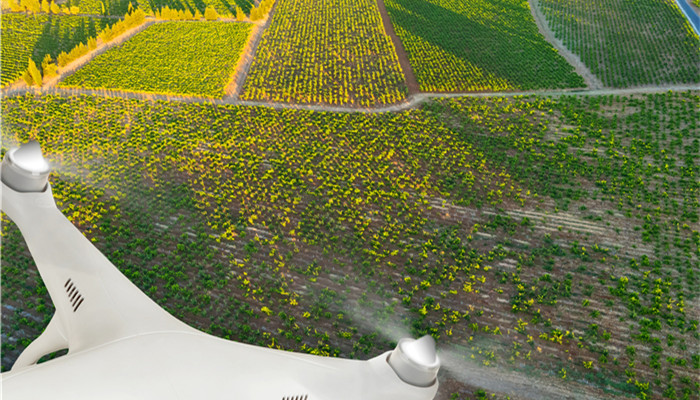 4-������-2-�׻�����������ҩũҩ�ϳ�����չ�ռ�� �ҹ�������ҵ��������